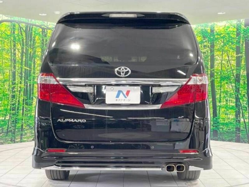 ALPHARD-16