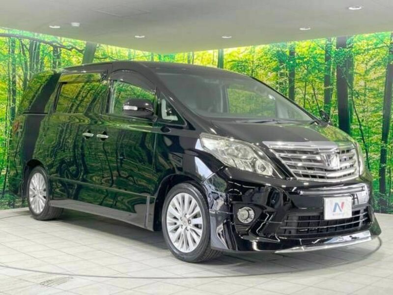 ALPHARD-17