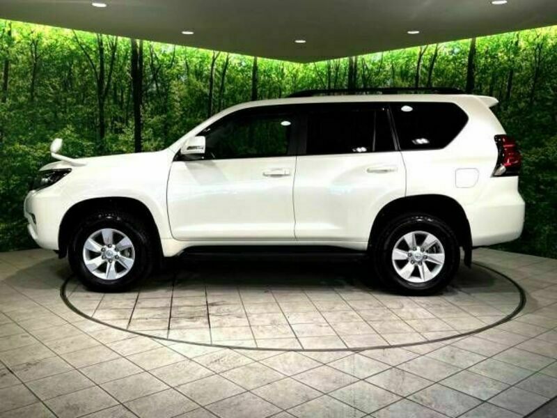 LAND CRUISER PRADO-18