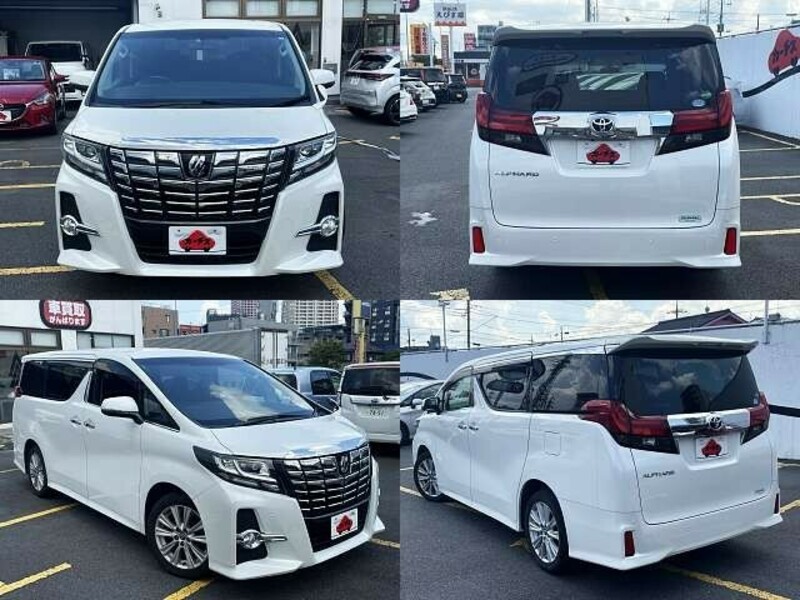 ALPHARD-8