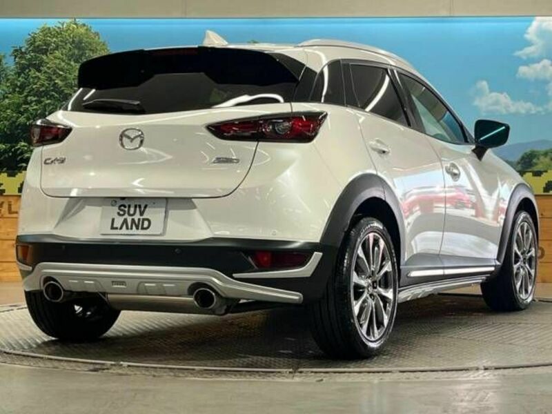 CX-3-17