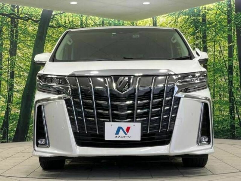 ALPHARD-15