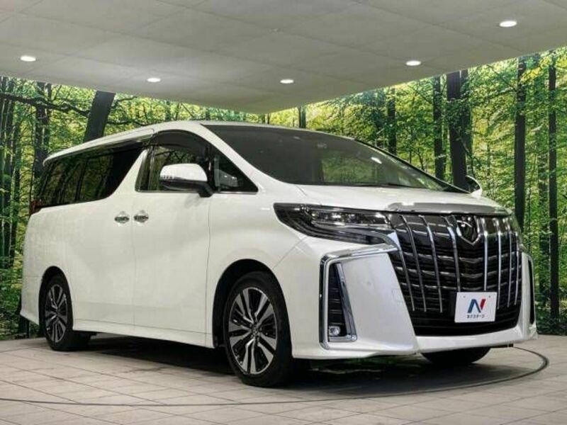 ALPHARD-17