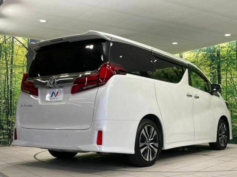 ALPHARD-18