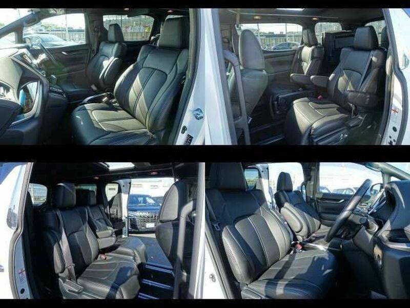 ALPHARD-16