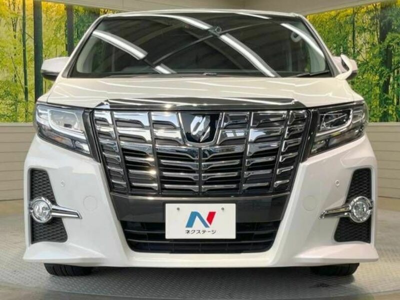 ALPHARD-15