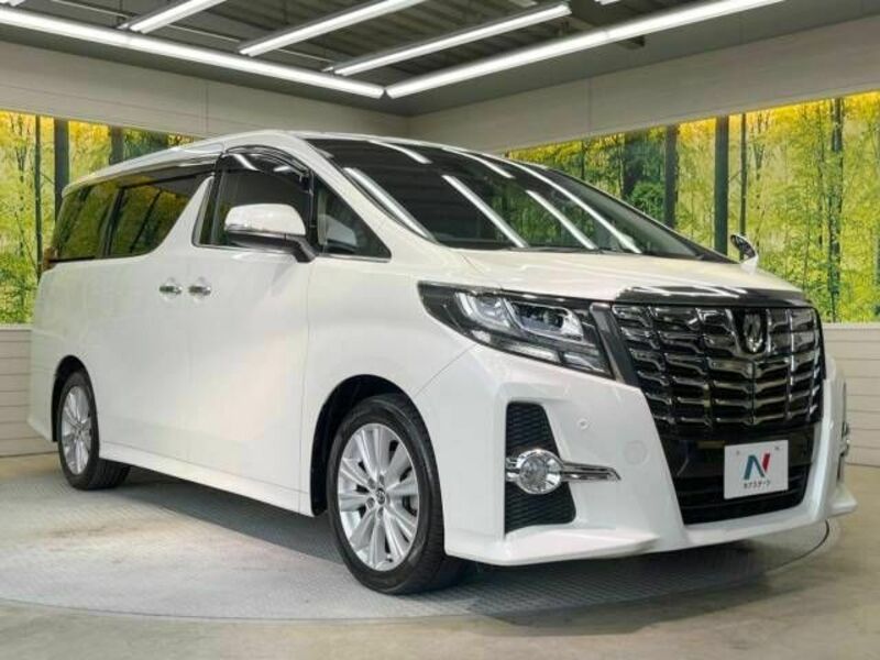 ALPHARD-17