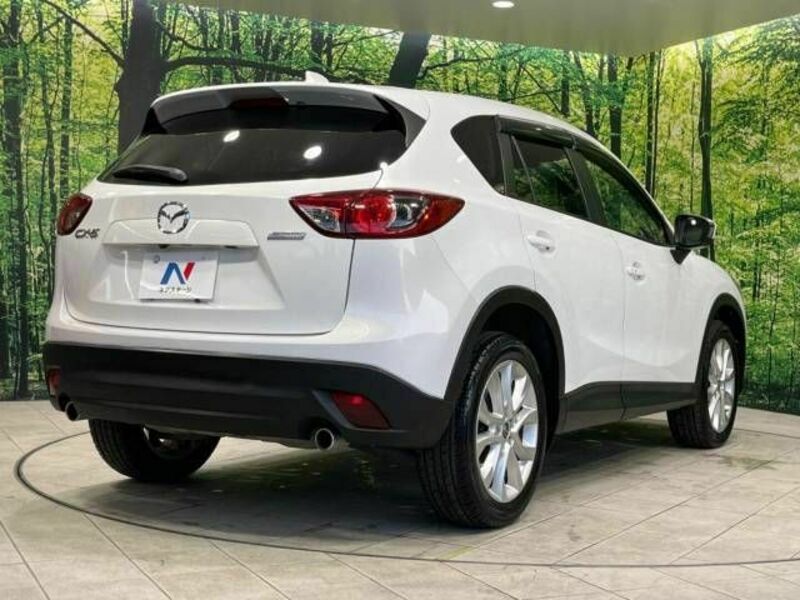 CX-5-17