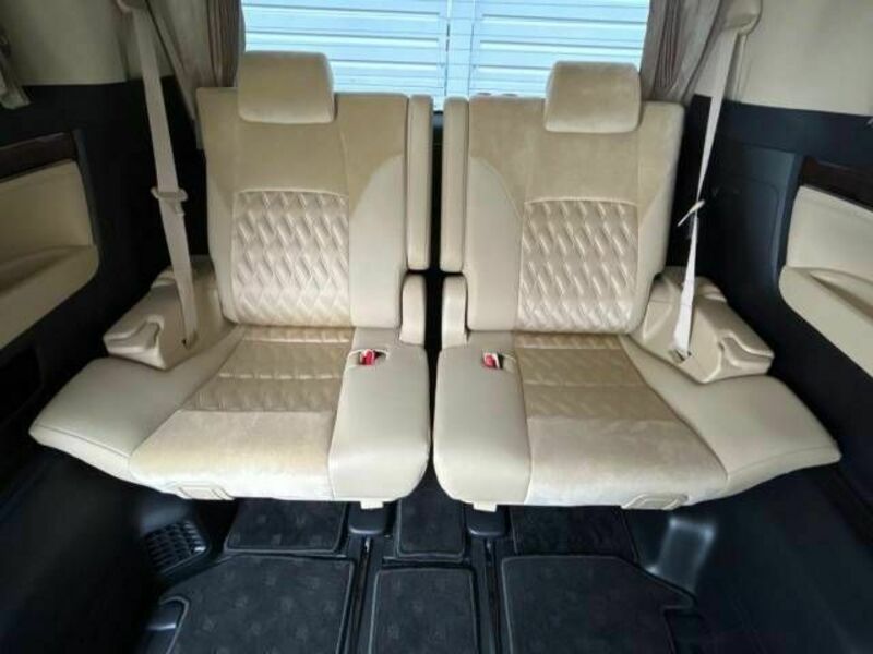 ALPHARD-10