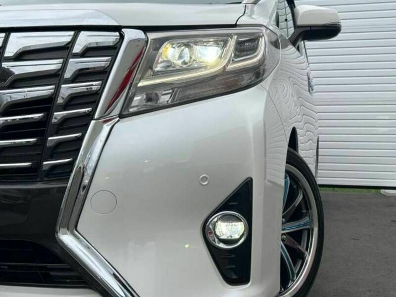 ALPHARD-12