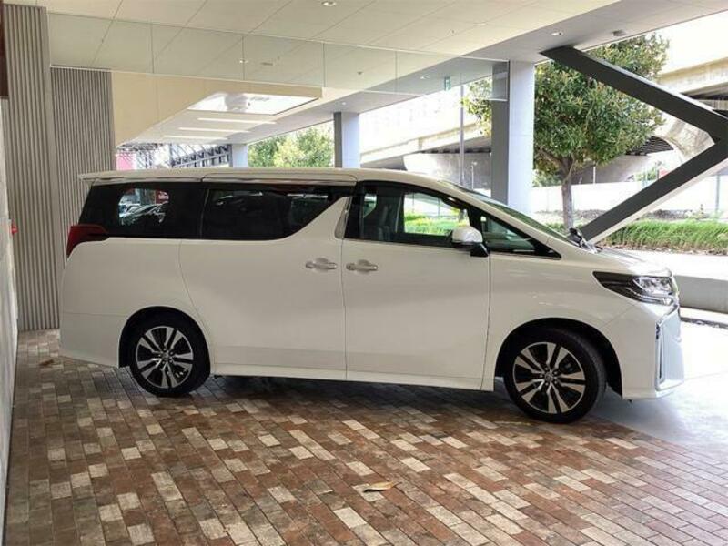 ALPHARD-13