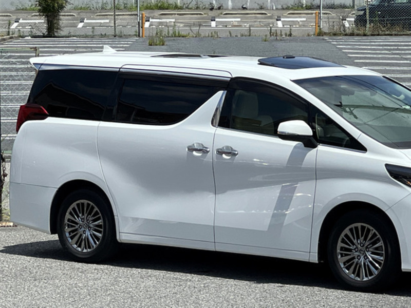 ALPHARD-6