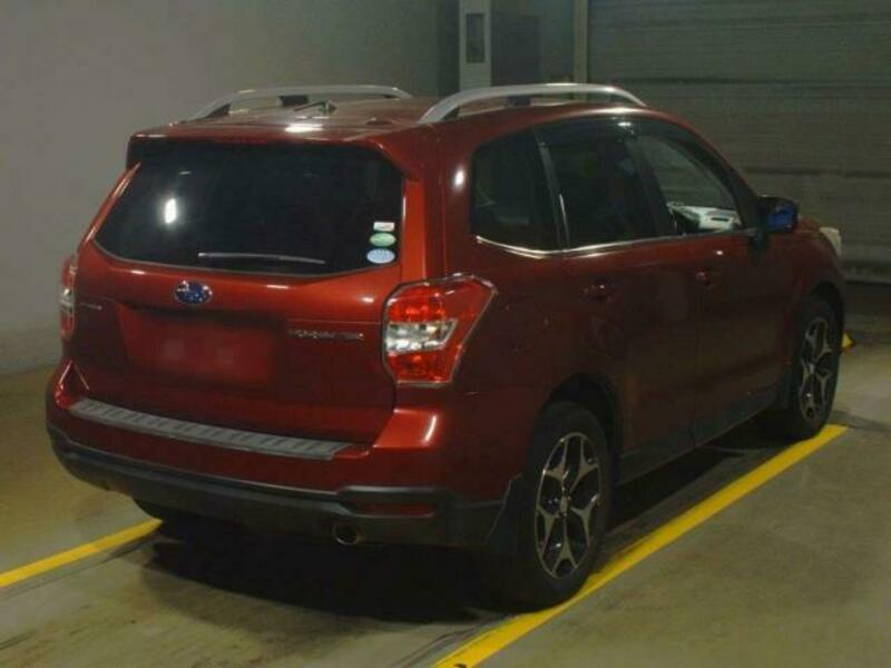 FORESTER-3