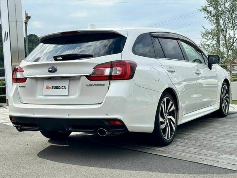 LEVORG-12