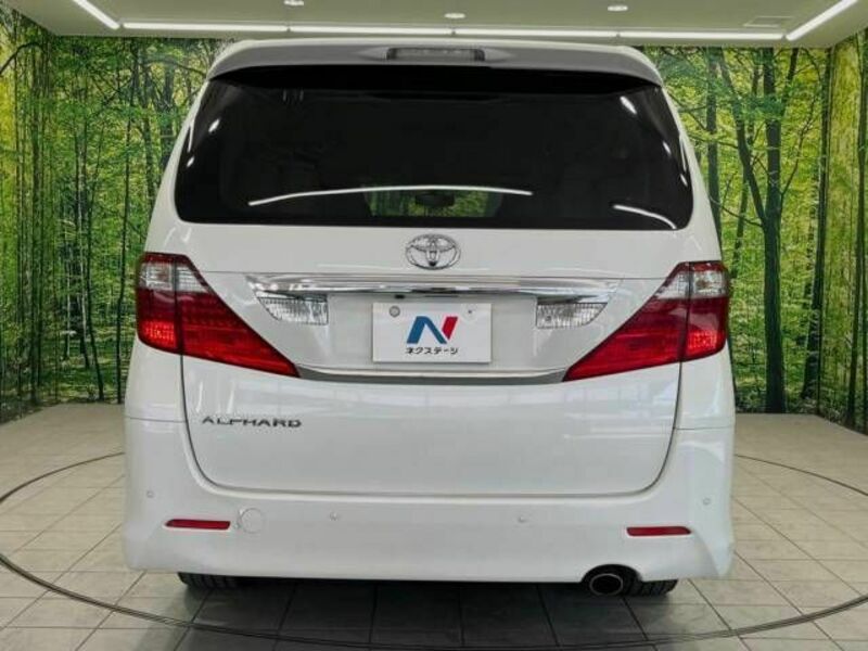 ALPHARD-16