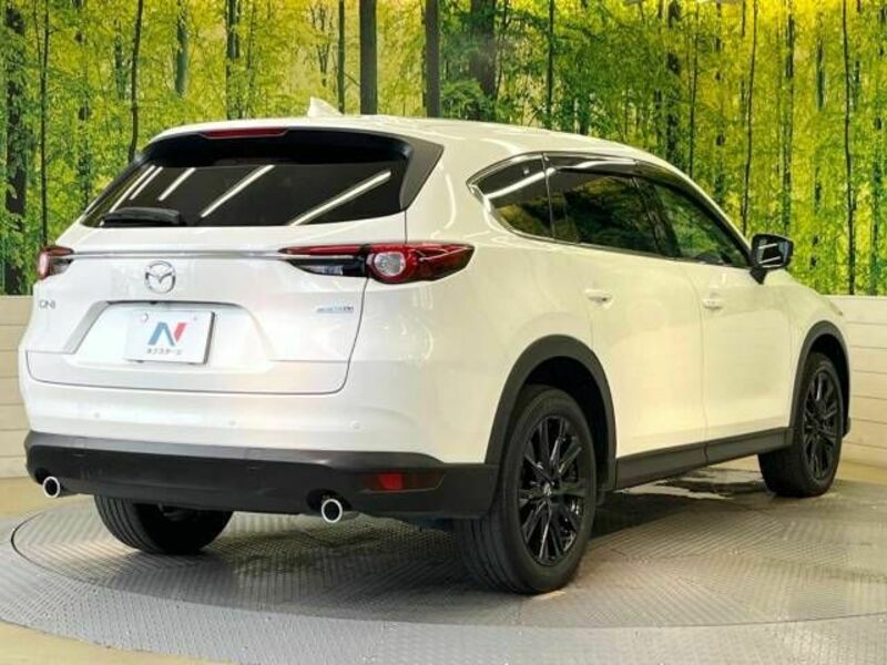 CX-8-17