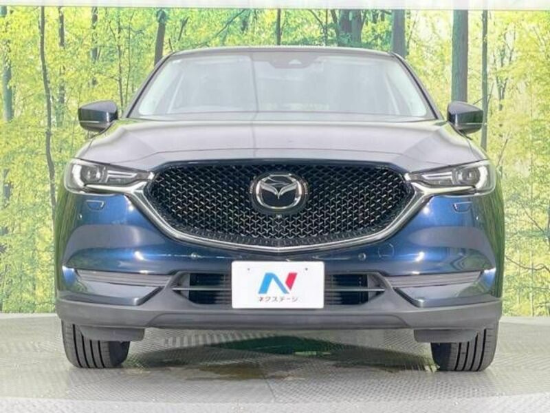 CX-5-13