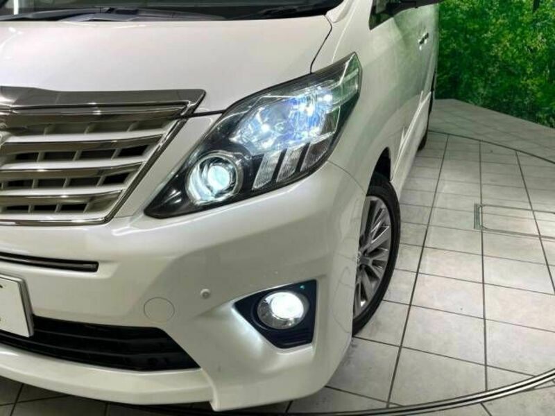 ALPHARD-13