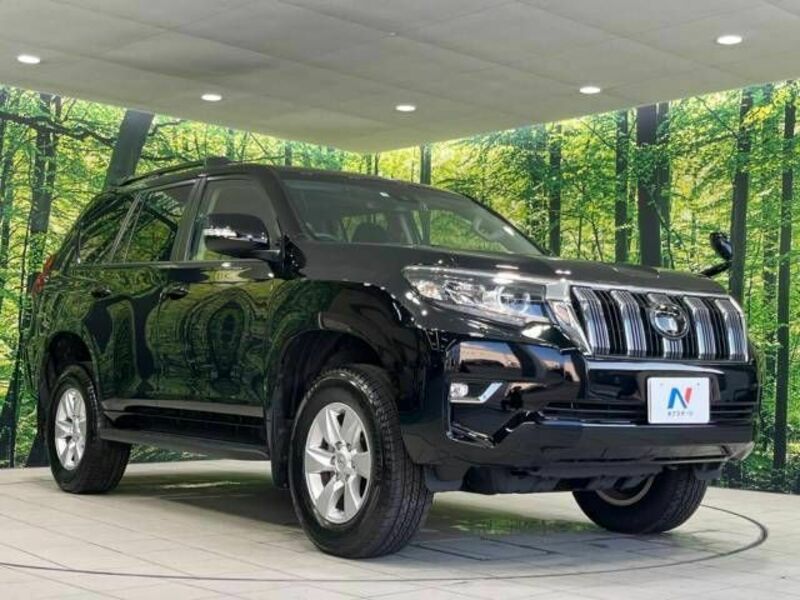 LAND CRUISER PRADO-17