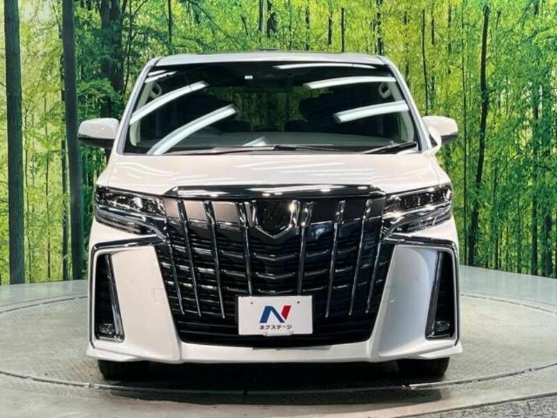 ALPHARD-15