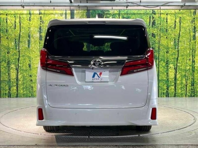 ALPHARD-16