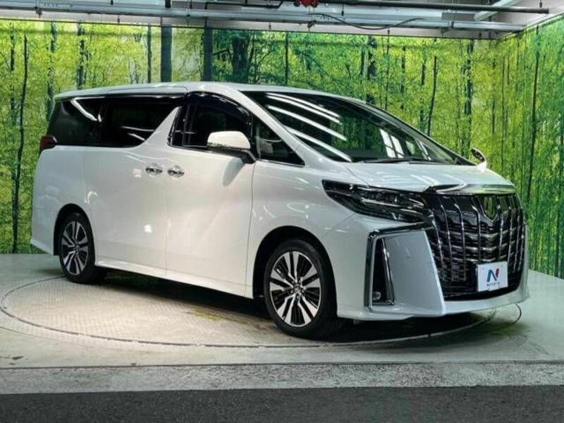 ALPHARD-17