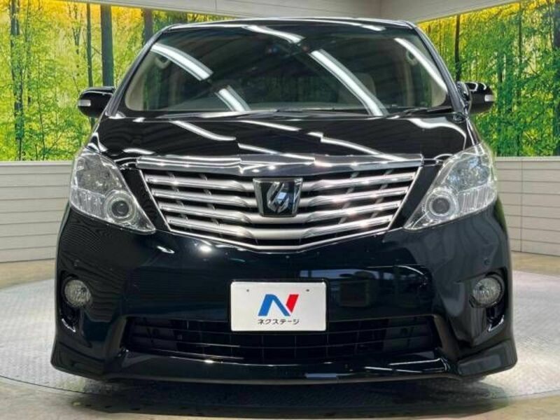 ALPHARD-15