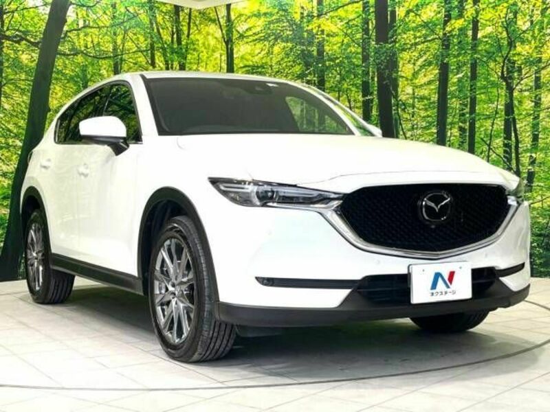 CX-5-16