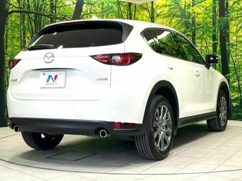 CX-5-17