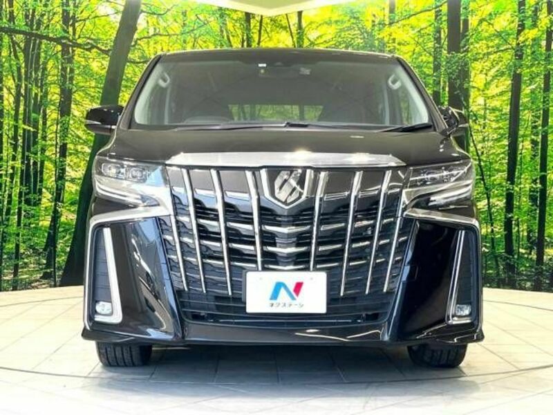 ALPHARD-15