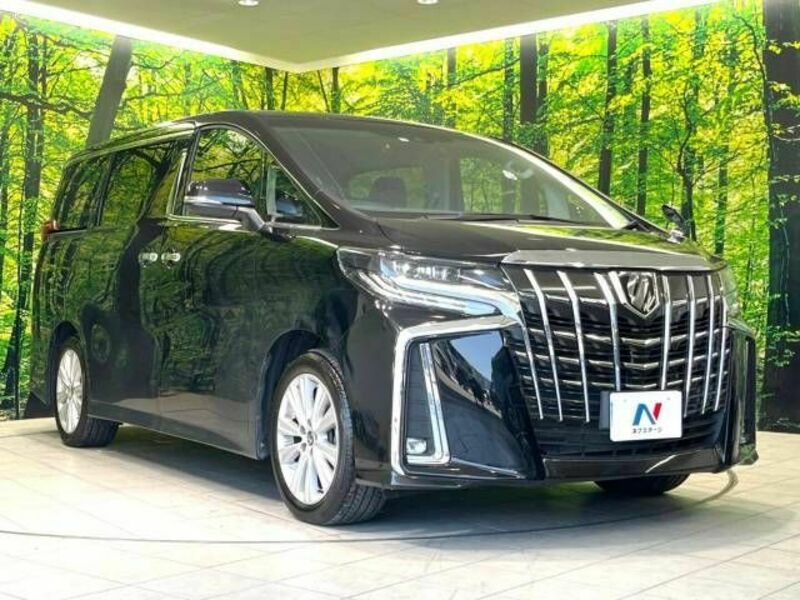 ALPHARD-17