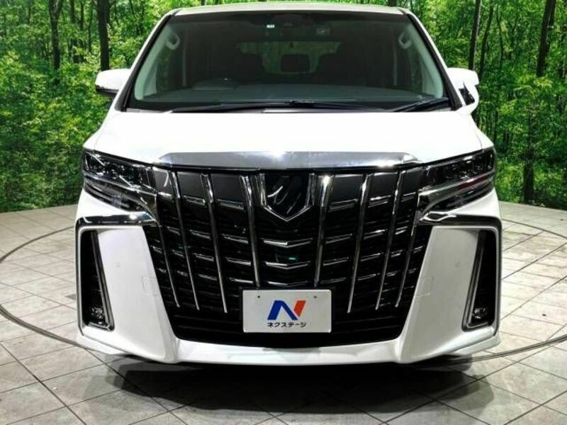 ALPHARD-17