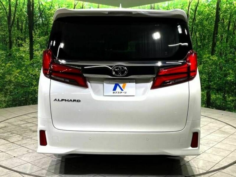 ALPHARD-18