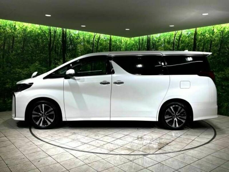 ALPHARD-19