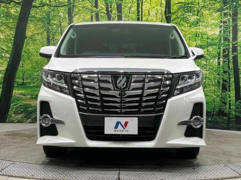 ALPHARD-13