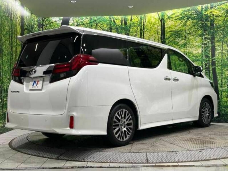 ALPHARD-16