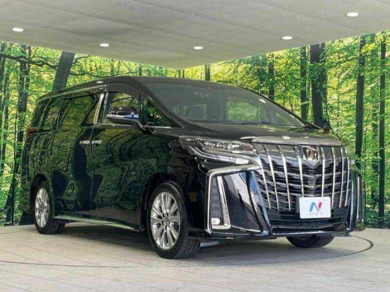 ALPHARD-17