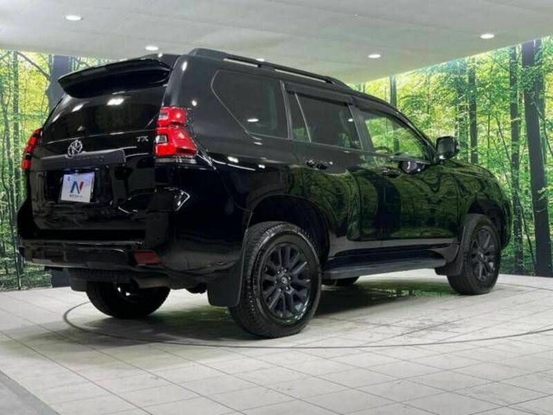 LAND CRUISER PRADO-18