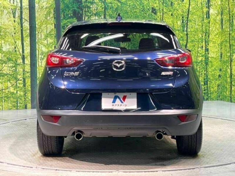 CX-3-15