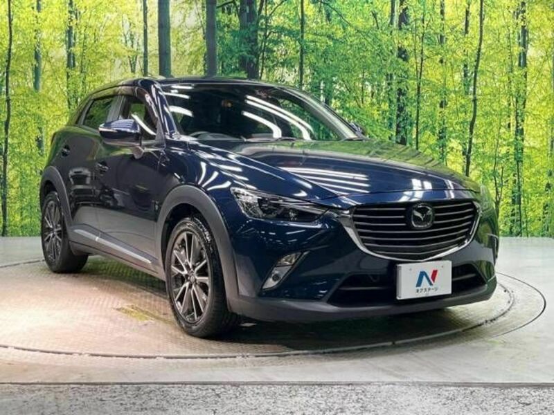 CX-3-16