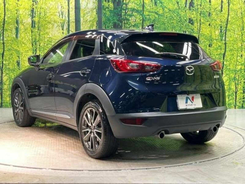 CX-3-17