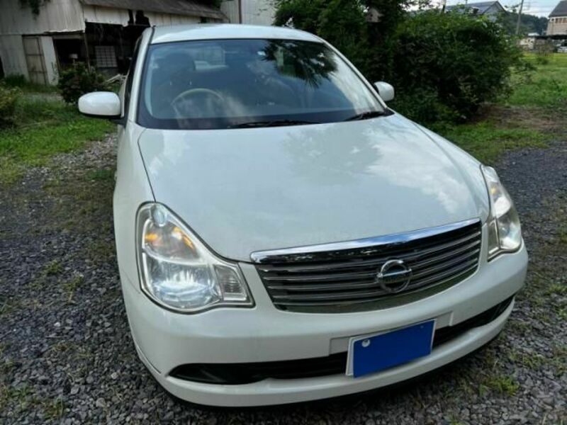 BLUEBIRD SYLPHY