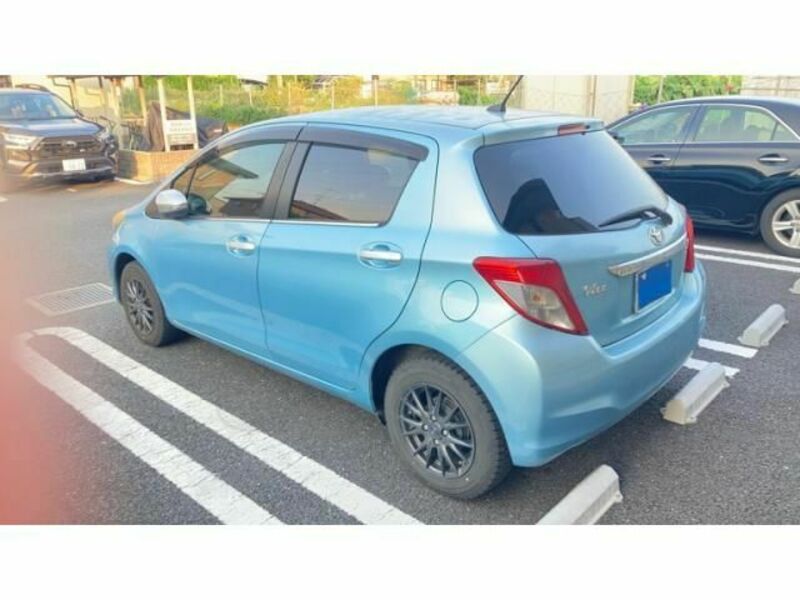 VITZ-3