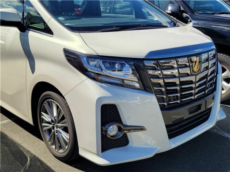 ALPHARD-3