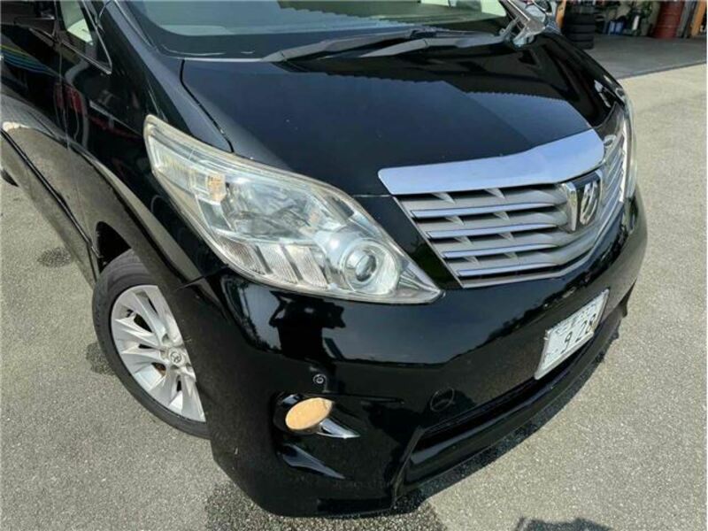 ALPHARD-25