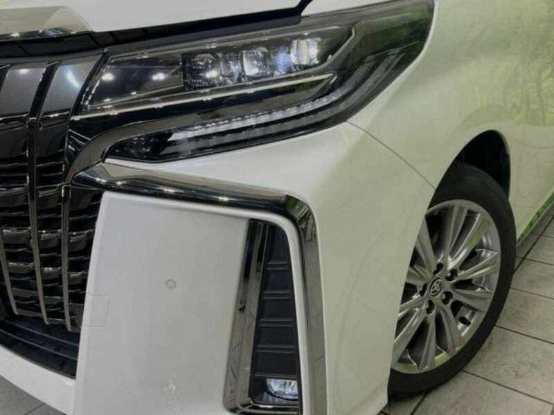 ALPHARD-13