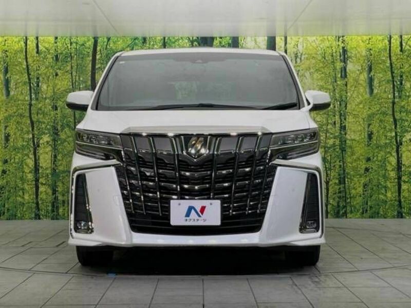 ALPHARD-15