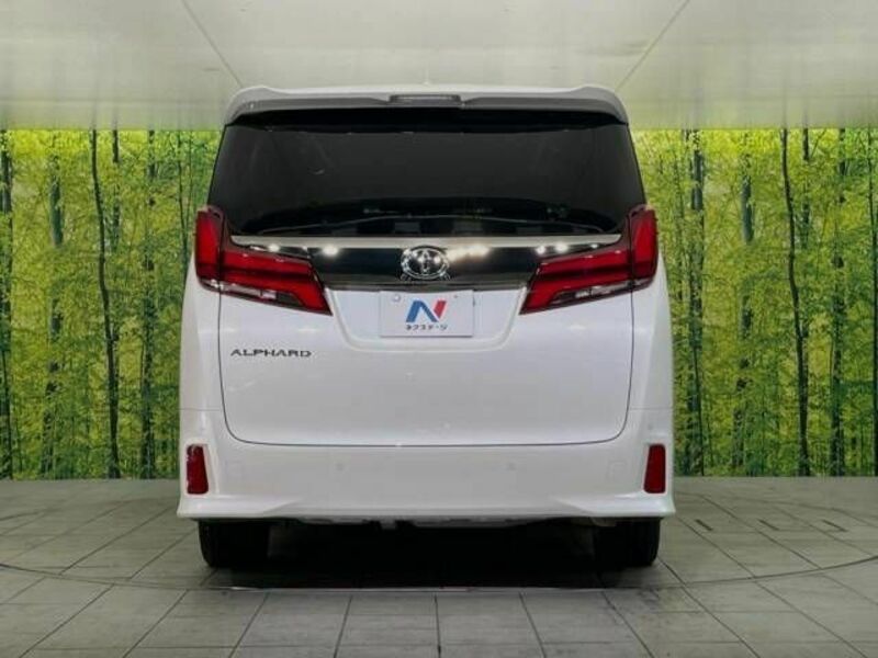 ALPHARD-16