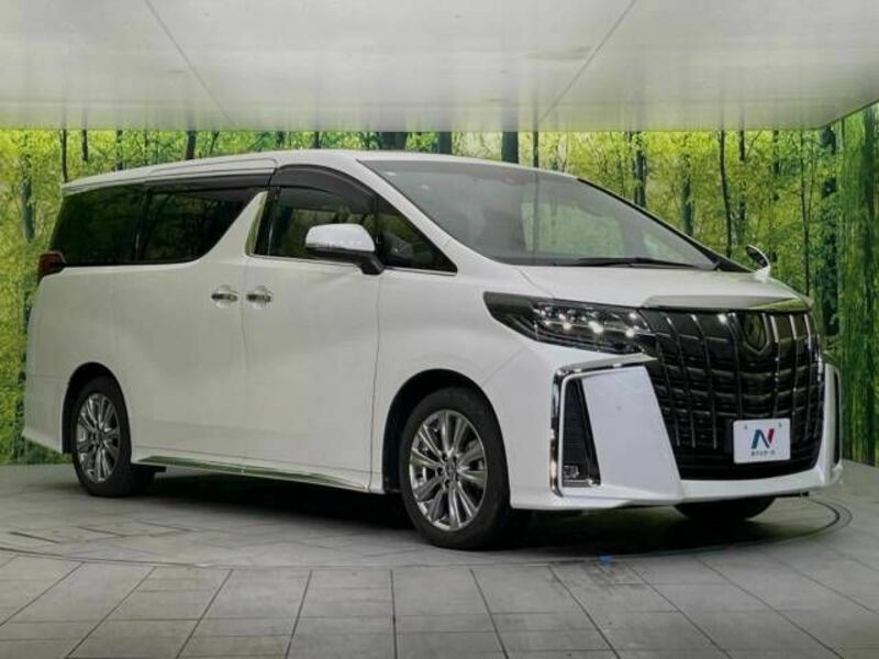 ALPHARD-17