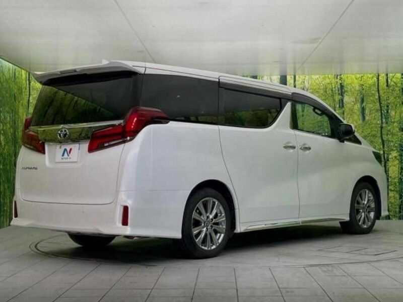 ALPHARD-18